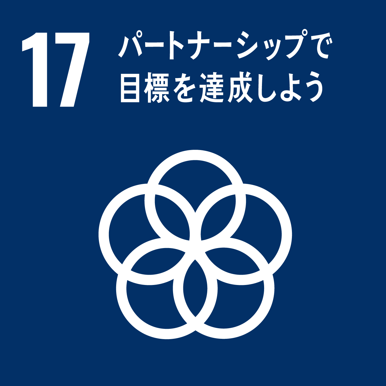 目標 17 : パートナーシップで目標を達成しよう